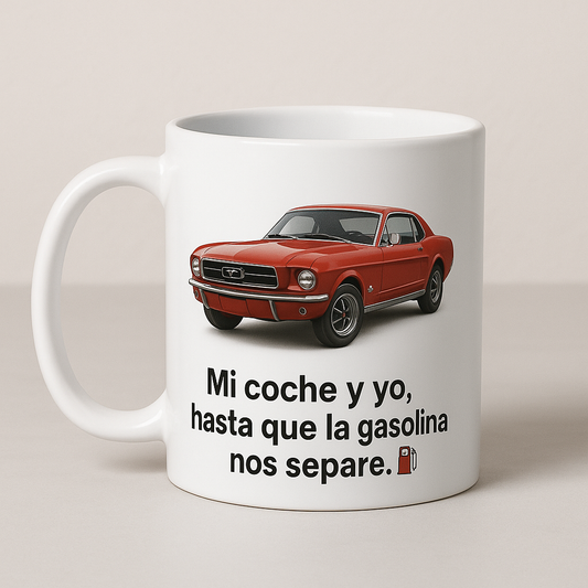 Mi coche y yo, hasta que la gasolina nos separe